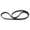 Serpentine Belt