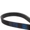 Serpentine Belt