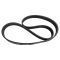 Serpentine Belt