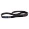 Serpentine Belt