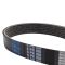 Serpentine Belt