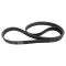 Serpentine Belt