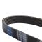 Serpentine Belt