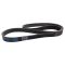 Serpentine Belt