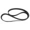 Serpentine Belt