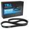 Serpentine Belt