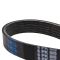 Serpentine Belt