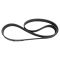 Serpentine Belt