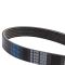 Serpentine Belt