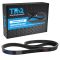 Serpentine Belt