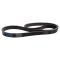 Serpentine Belt