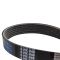 Serpentine Belt