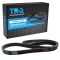 Serpentine Belt