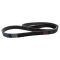 Serpentine Belt