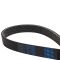 Serpentine Belt