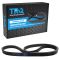 Serpentine Belt