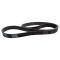 Serpentine Belt