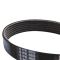 Serpentine Belt