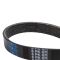 Serpentine Belt
