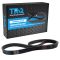 Serpentine Belt