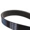 Serpentine Belt
