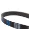 Serpentine Belt