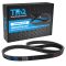Serpentine Belt