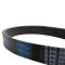 Serpentine Belt