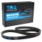 Serpentine Belt