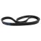 Serpentine Belt
