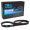 Serpentine Belt