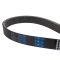 Serpentine Belt
