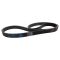 Serpentine Belt