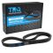 Serpentine Belt