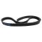 Serpentine Belt