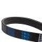 Serpentine Belt