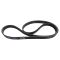 Serpentine Belt