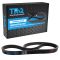 Serpentine Belt