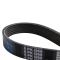 Serpentine Belt