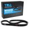 Serpentine Belt