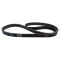 Serpentine Belt