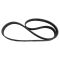 Serpentine Belt