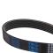 Serpentine Belt