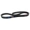Serpentine Belt