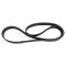 Serpentine Belt