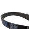 Serpentine Belt