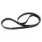 Serpentine Belt