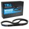 Serpentine Belt