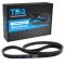 Serpentine Belt