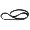 Serpentine Belt